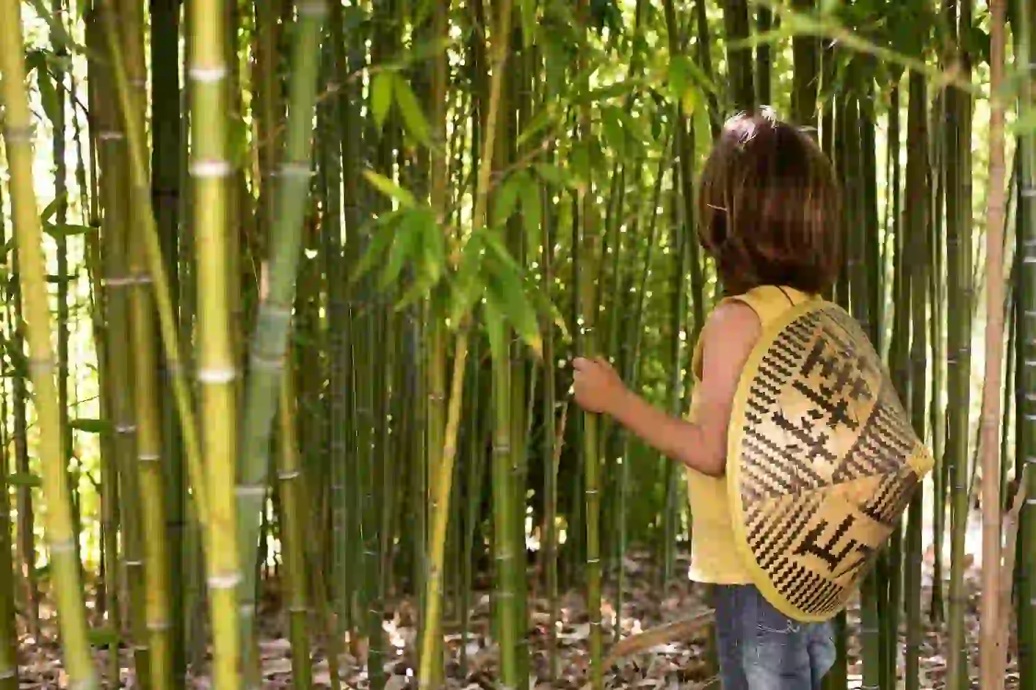Bamboo Grove Event Planning